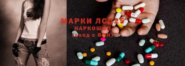 прущий лед Алзамай